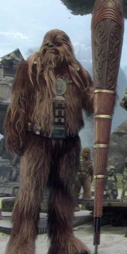 Wookiee shield