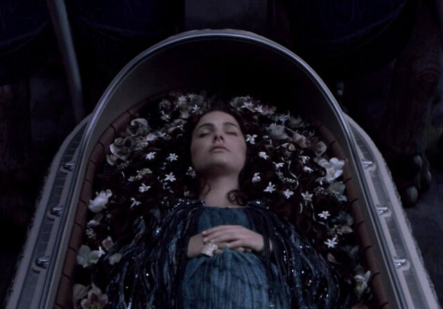 Soubor:800px-Amidalafuneral.jpg