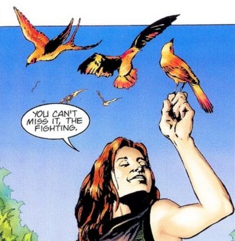 File:Rdava-birds.jpg