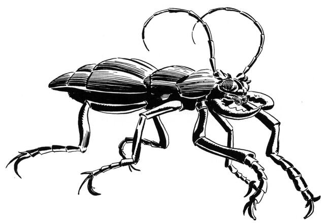 File:Fefzegg4.jpg