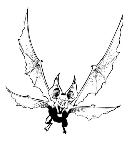 File:Tappratine.jpg