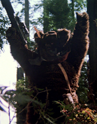 File:Flitchee.png