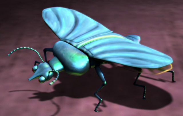 File:Slug-beetle2.png