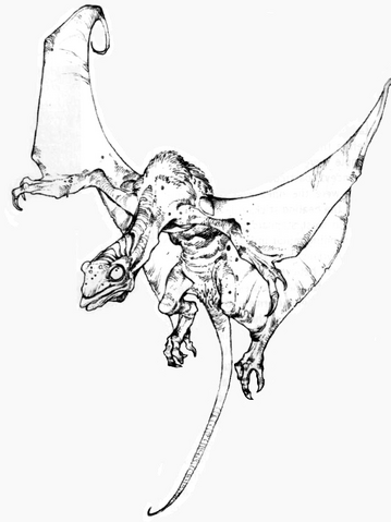 File:QomJha.png