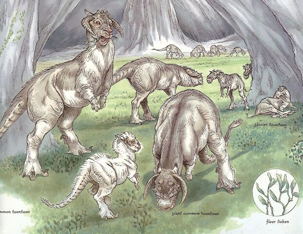 File:Tauntaun Species.jpg