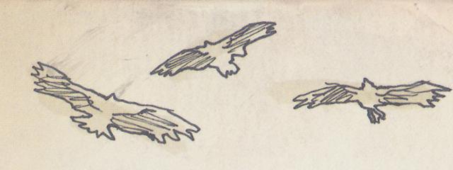 File:Edgehawks.png
