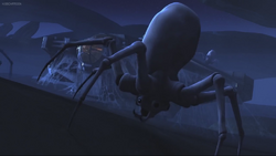 Atollon Spider