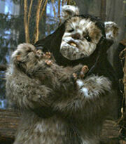 Maternal ewok