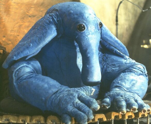File:Maxrebo.jpg