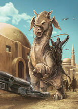 Ronto Tatooine
