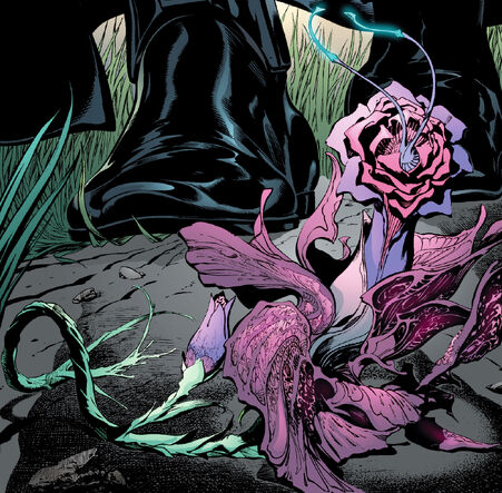 File:Cophrigin flower.jpg
