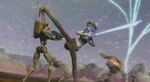 Aayla maridun.jpg