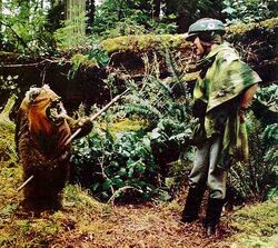 Wicket Leia