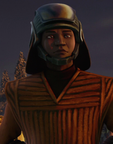 File:HoganTinmar-SW.png