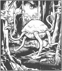 Orgon