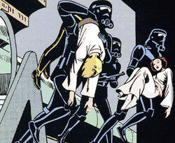 Shadow Stormtroopers.jpg