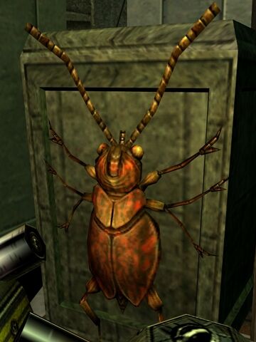 File:FlameBeetle-SWG.jpg