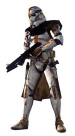 ROTS ICS.jpg