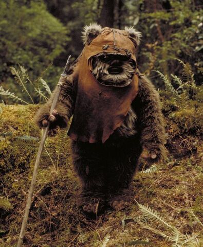 File:Wicket rotj.jpg