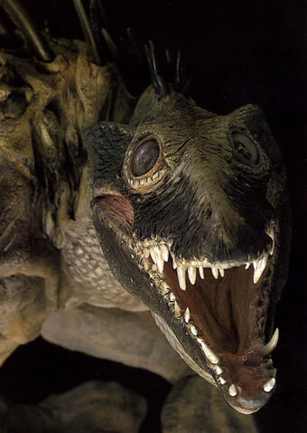 File:Massiff AOEPII.jpg