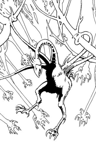 File:Tentacle bird of Pelemax.jpg
