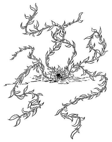 File:Seaweed.jpg