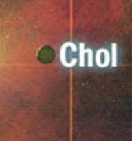 File:Chol.jpg