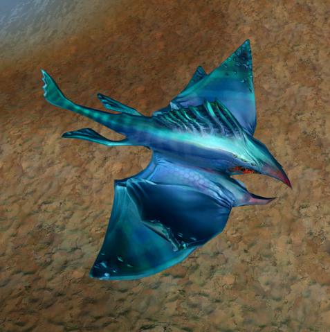 File:Baspoor glider.png