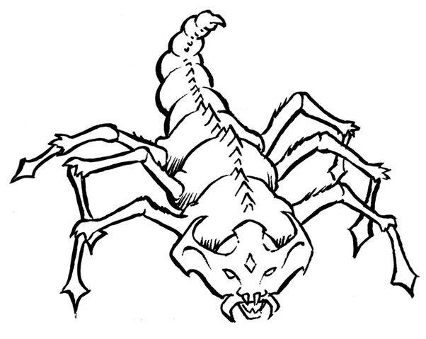 File:Kretch insect.jpg