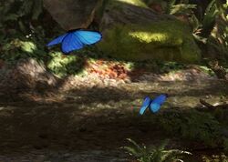 Endorian butterflies