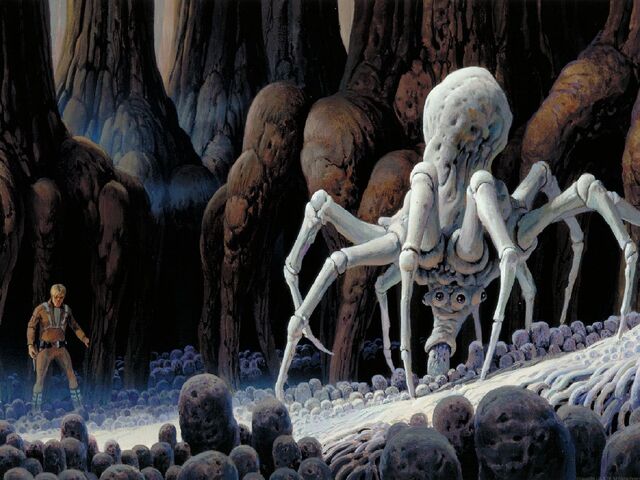 File:RMQ-KnobbyWhiteSpider.jpg