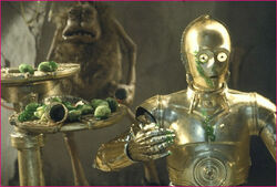 Wam Threepio.jpg