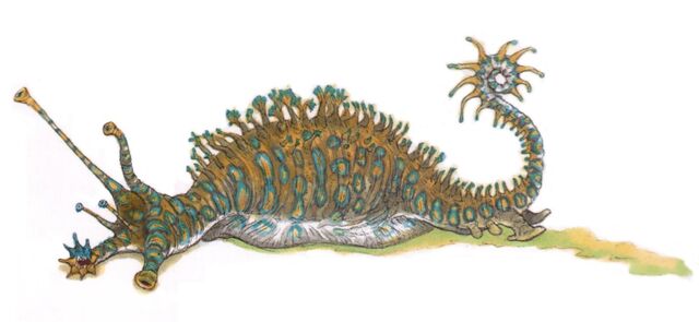 File:Granite Slugs.jpg