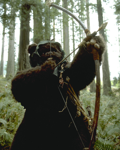 File:Tokkat bow.png