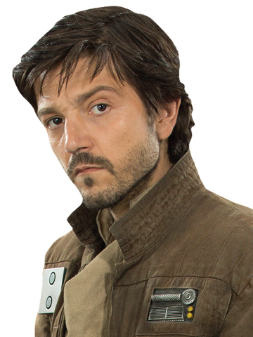 Αρχείο:Cassian Andor.png