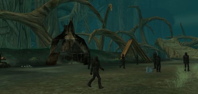 File:Feral Wookiee camp.jpg
