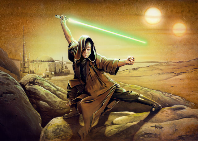 Soubor:LukeSelfTraining-SWG5.jpg