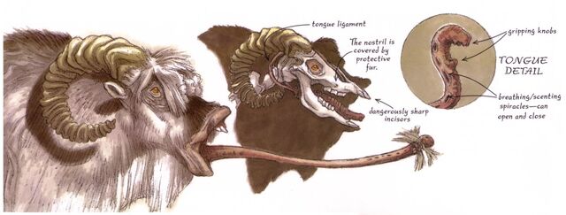 File:Bantha tongue.jpg