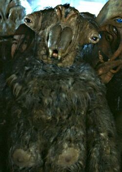 Elom1.jpg