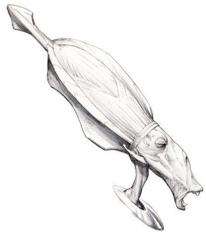 File:Rune Haako Concept Art.jpg