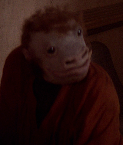 File:Takeel.png