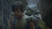 Yodalukedagobah.jpg