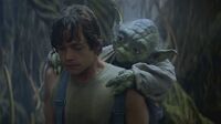 Yodalukedagobah.jpg