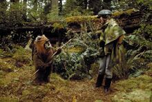 Ewok70.jpg