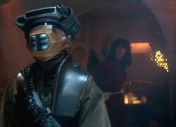 Boushh Laudica