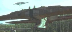 C-9979.jpg