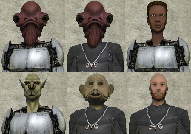 File:RebelFirstLieutenantTemplate.jpg