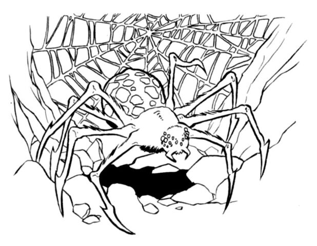 File:Purella Spider.jpg