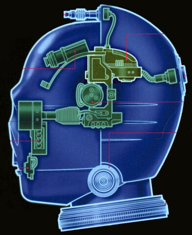 File:AA-1 VerboBrain.jpg