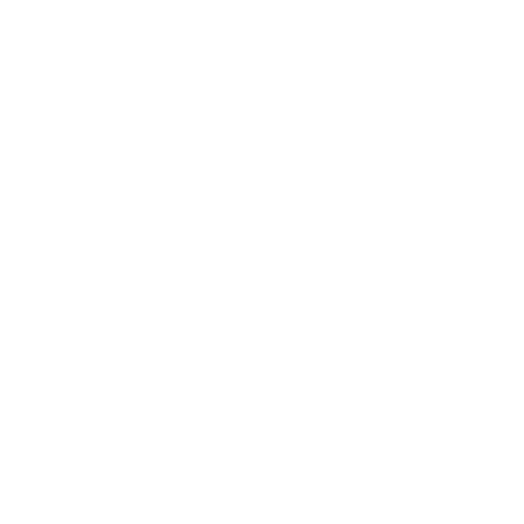File:New Jedi Order alt.png